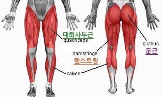 젠틀짐 이미지