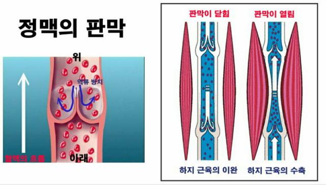 병점테라피 이미지