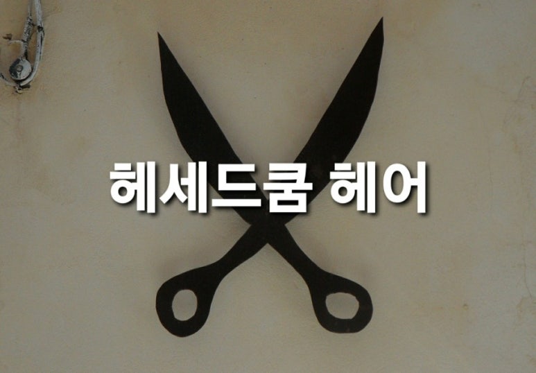 헤세드헤어 이미지