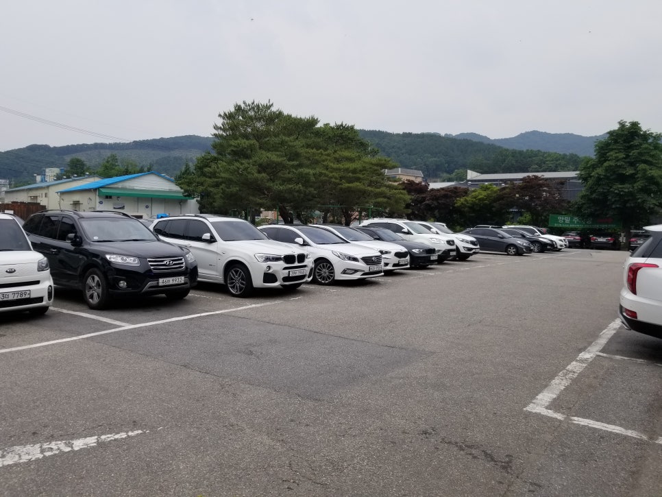 조광 골프 연습장 이미지