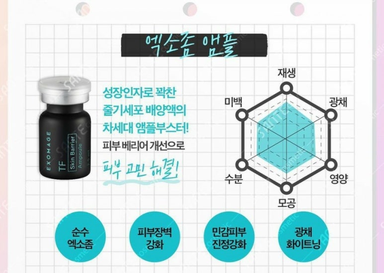 샤테라피 이미지