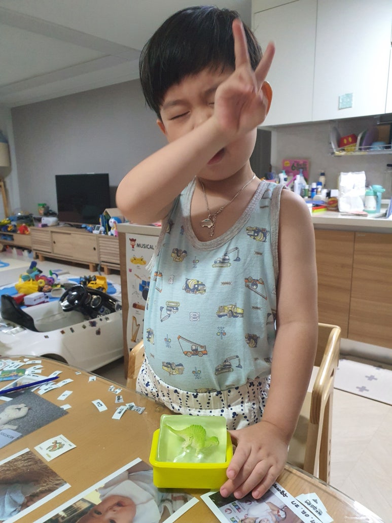 이노센트INNOSCENT 이미지
