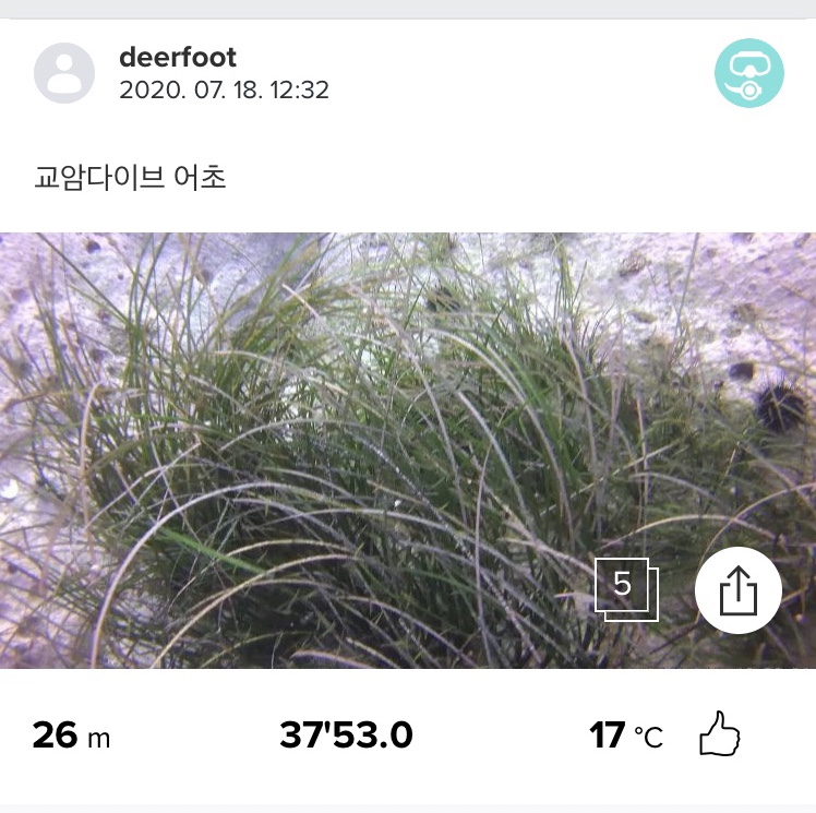 교암다이브리조트 이미지