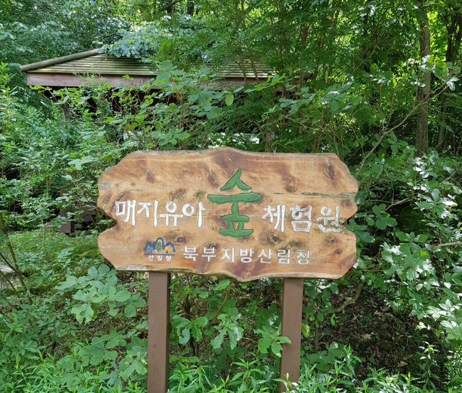매지유아숲체험원 이미지