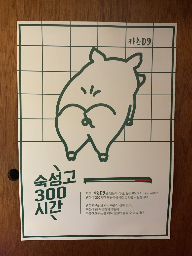 카츠 디나인(카츠 D9) 이미지