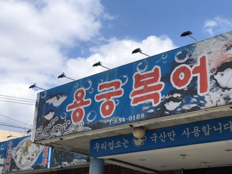 용궁복어 이미지