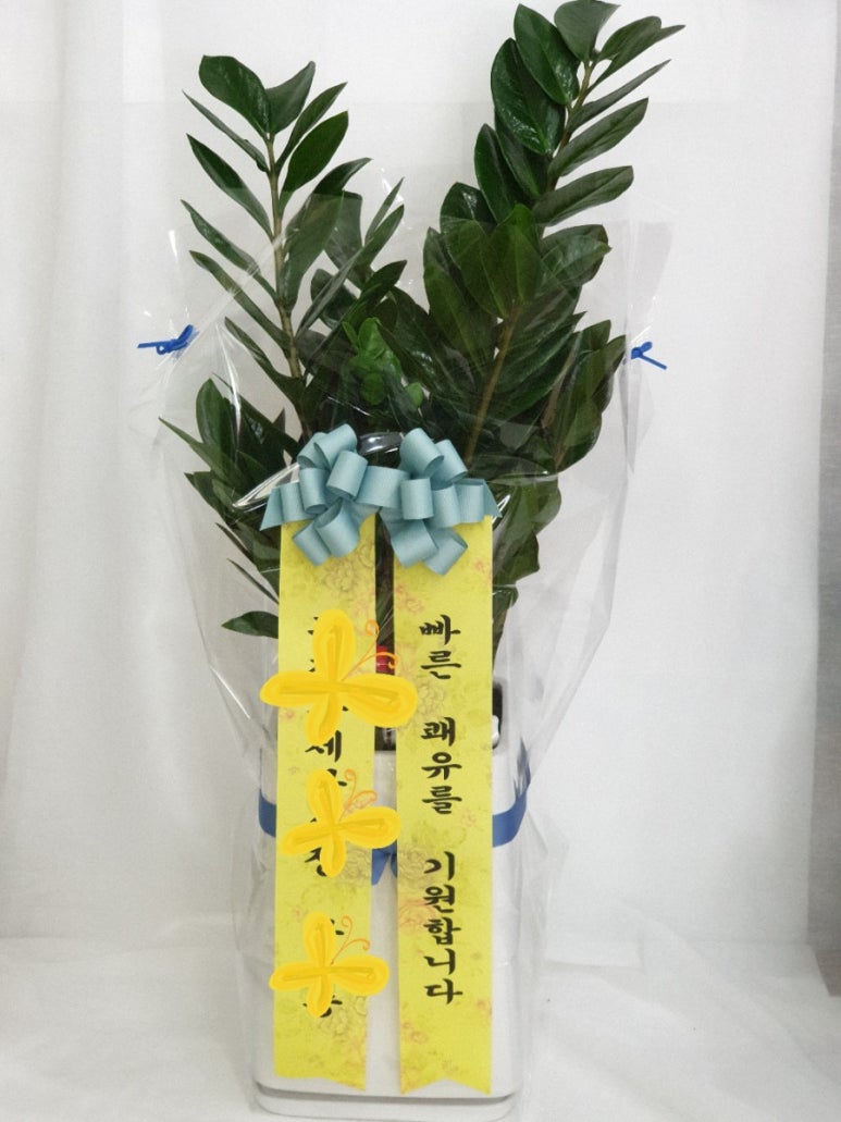 파고다꽃집 이미지