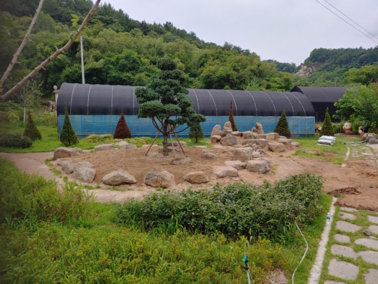 두물머리약초 이미지
