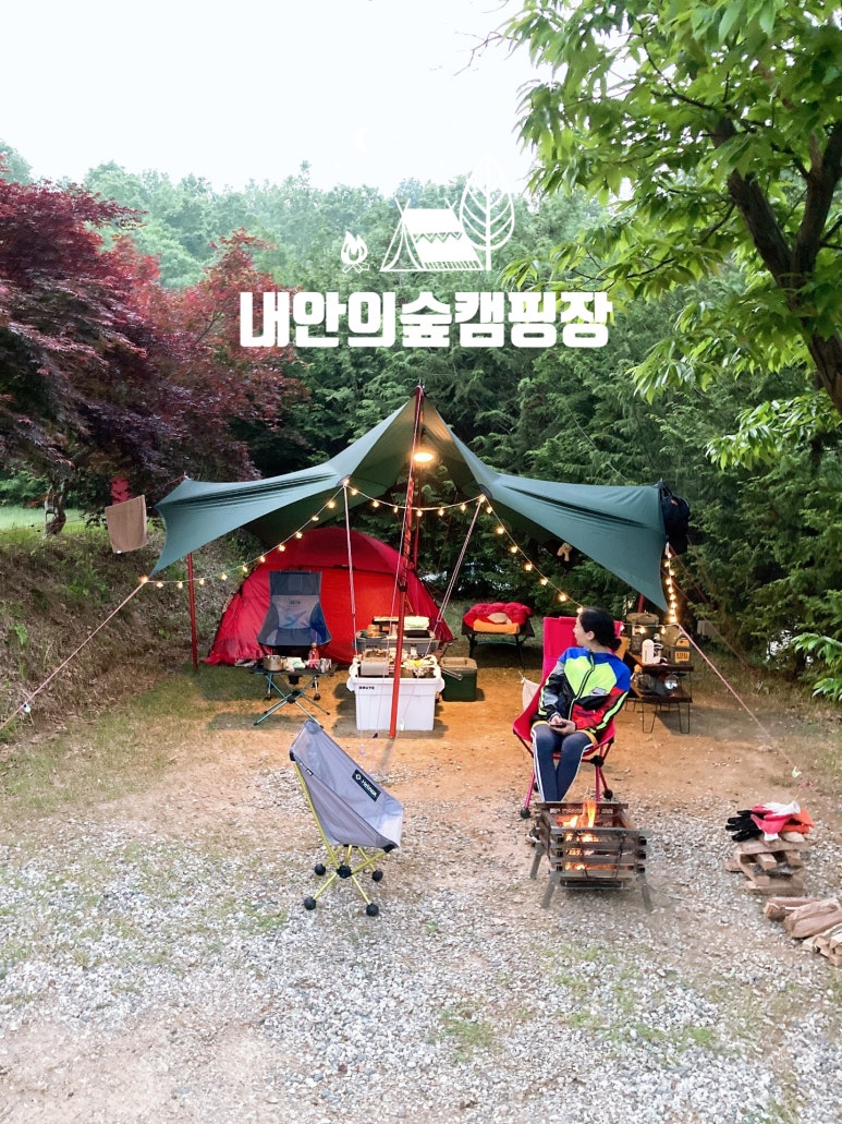 내안의숲길 이미지