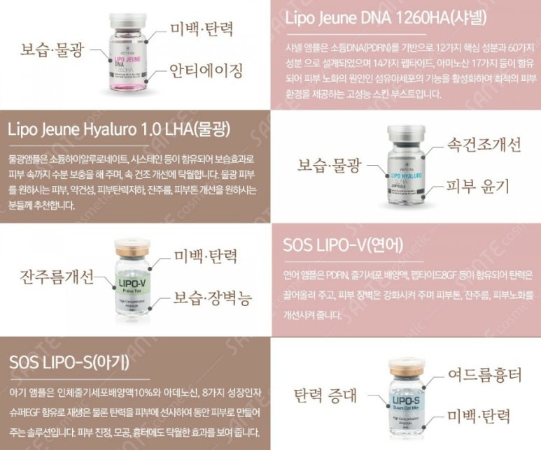 샤테라피 이미지
