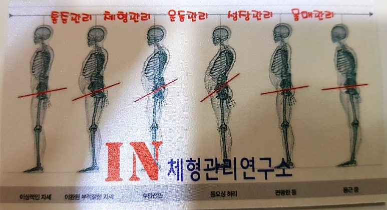 금비체형관리 이미지