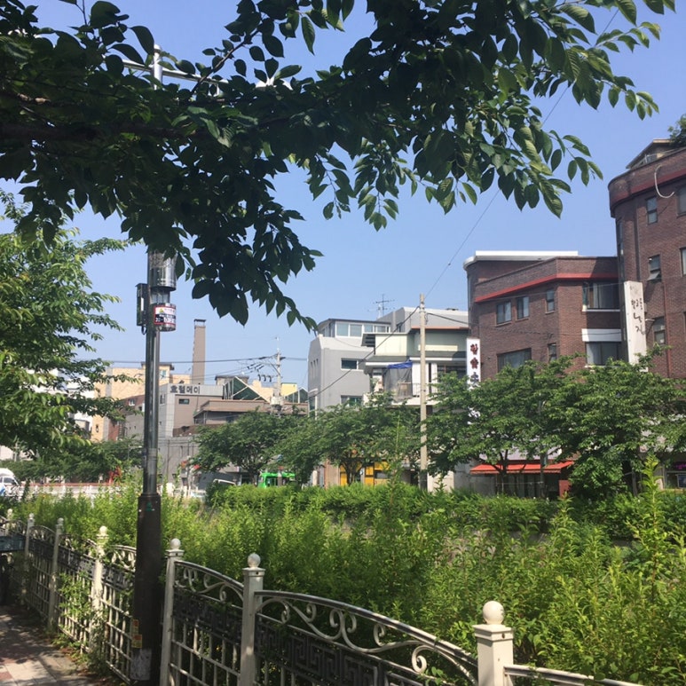 카페효제눅 이미지