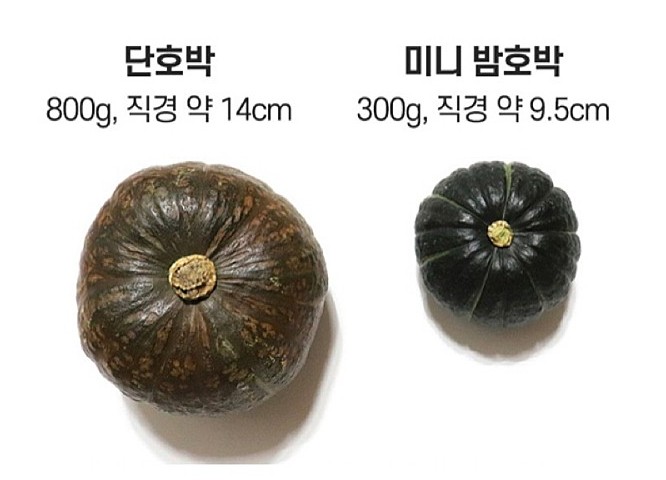 탐나미니박스 이미지