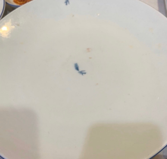 울산정자참가자미 이미지