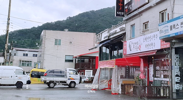 육설모 이미지