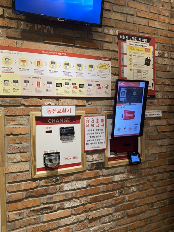 워시테리아전주 이미지