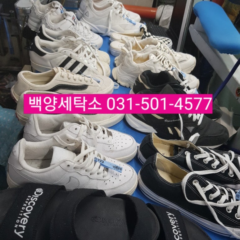 백양세탁 이미지