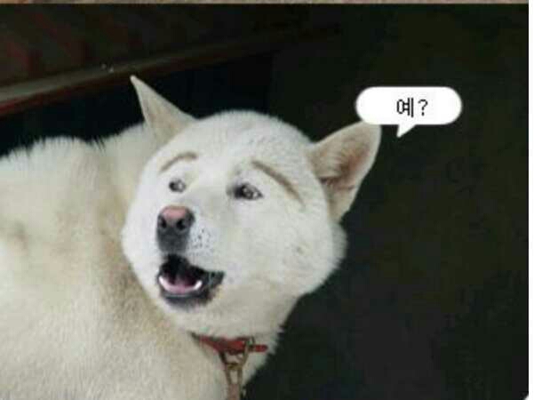 라임바이 이미지