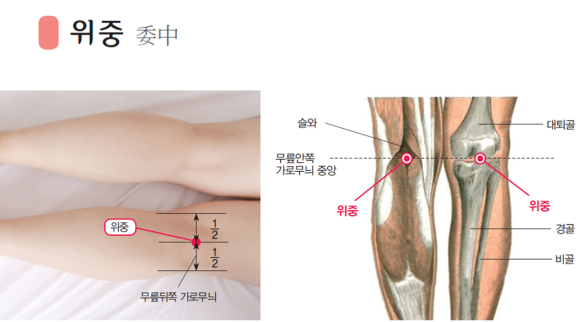 경희솔한의원 이미지