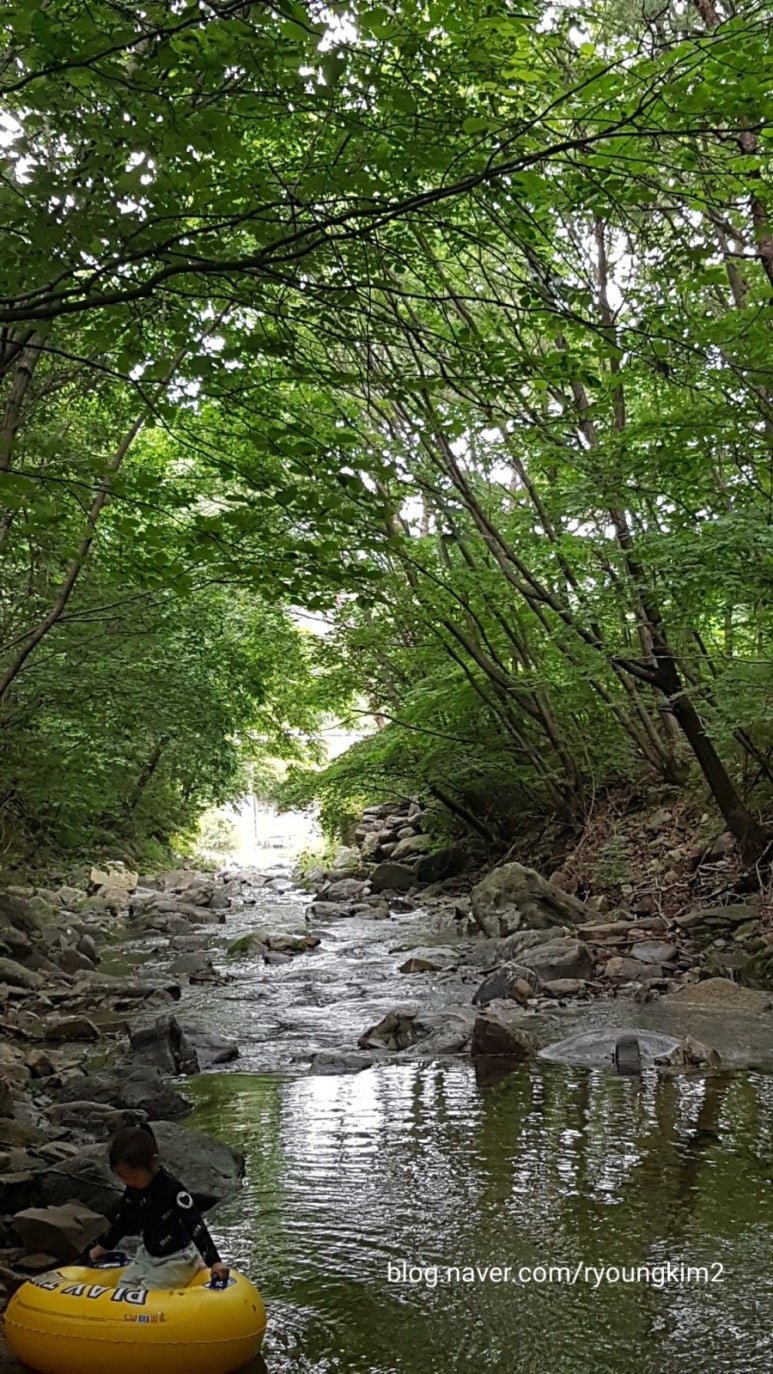 춘천마당발펜션 이미지