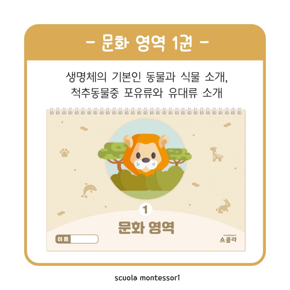 스콜라몬테소리 이미지