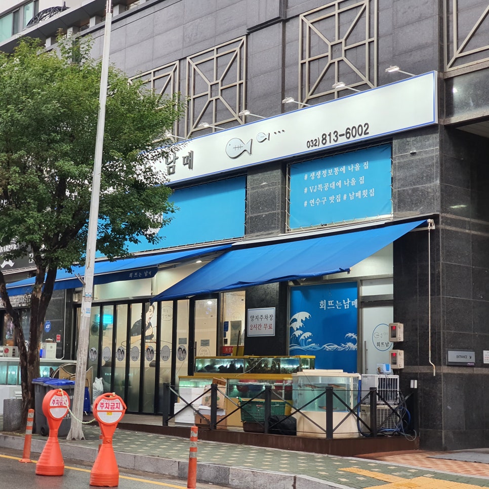 회뜨는 남매 이미지