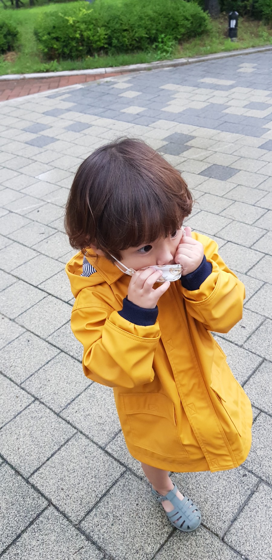 하미우 이미지