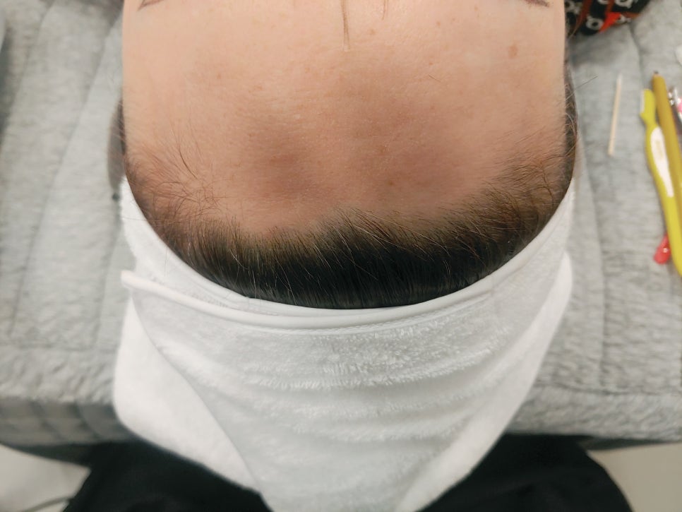 라비에벨헤어 이미지