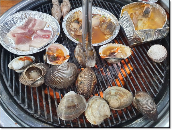조개빛바다 이미지
