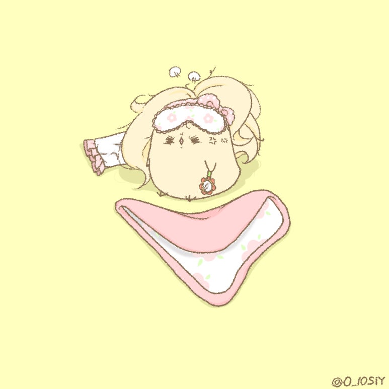 돌콩헤어 이미지