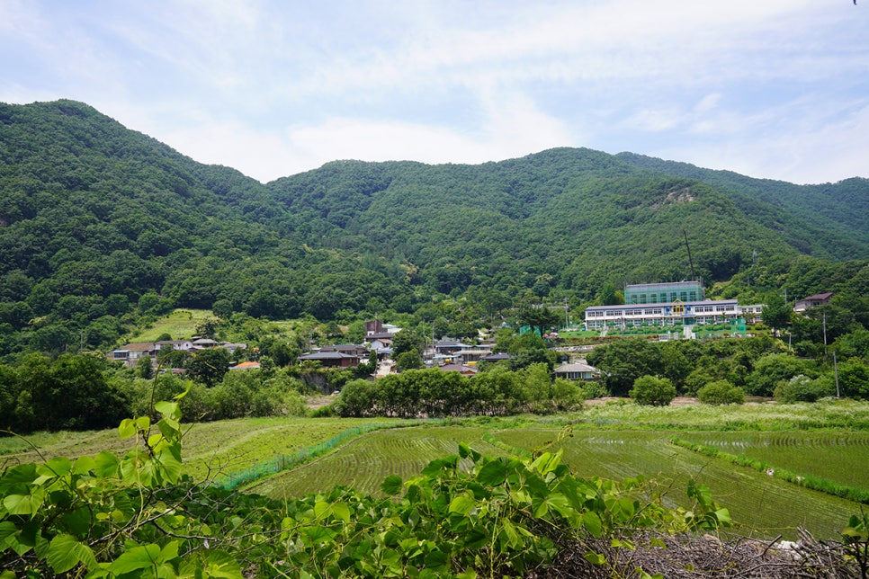 동상면 소재지 이미지