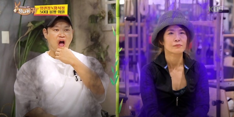 당나귀를부탁해 이미지