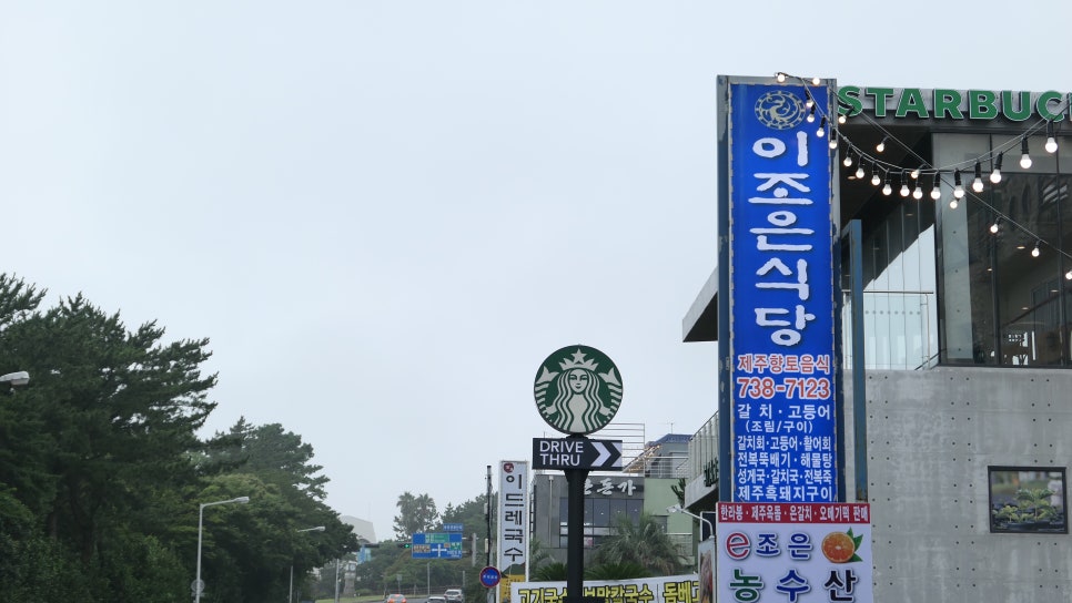 이조은관광 이미지