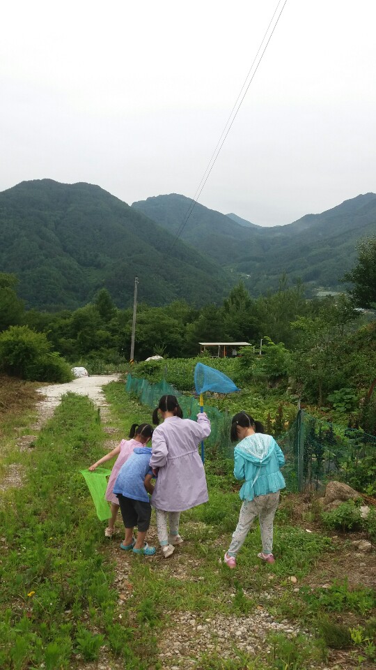 선애황토방 이미지
