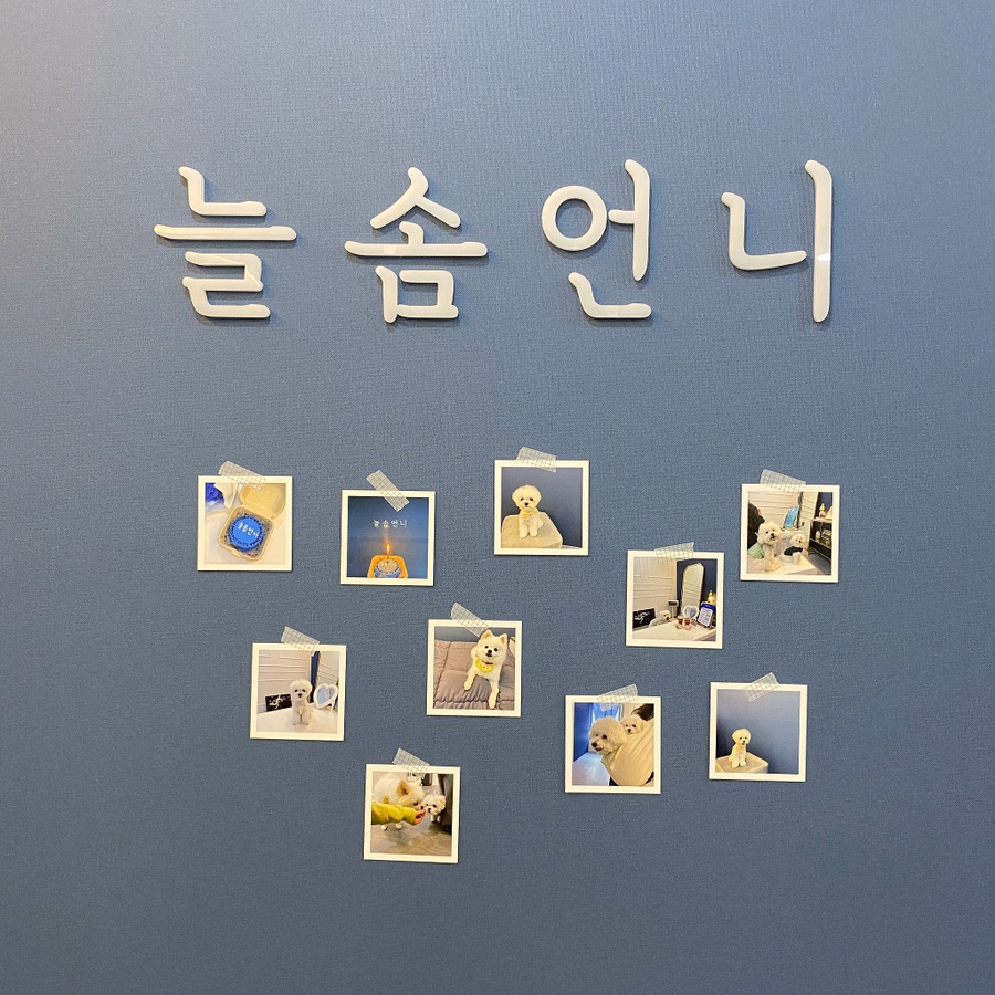 늘솜언니 이미지
