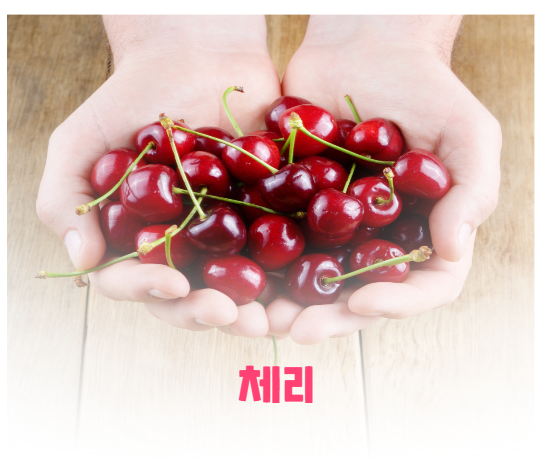 푸릇상회 이미지