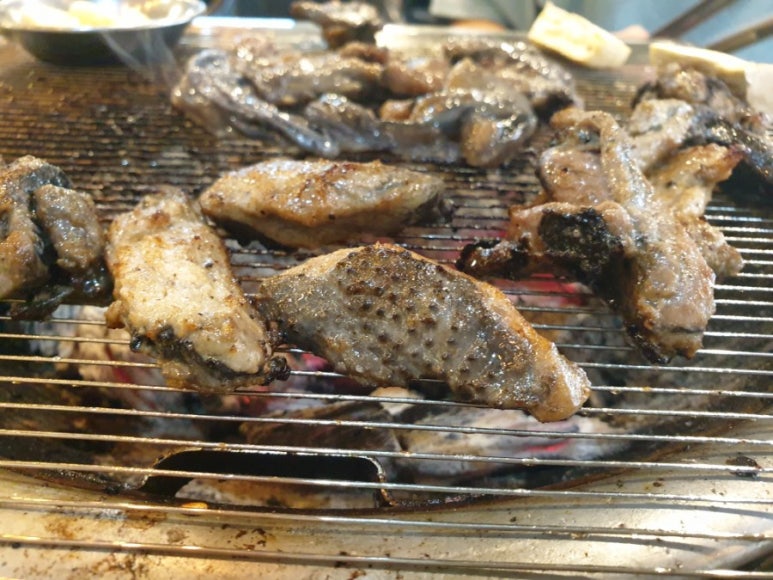 오골계마루 이미지