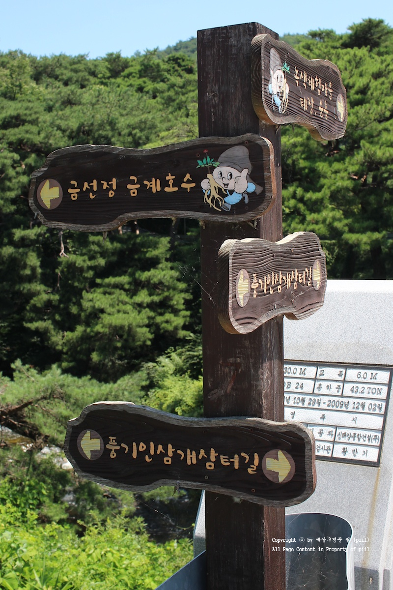 풍기장생이 이미지