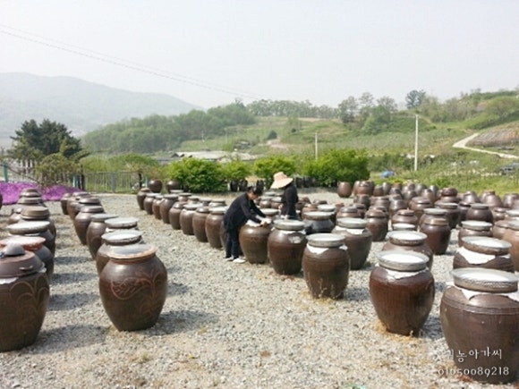 깻잎농원 이미지