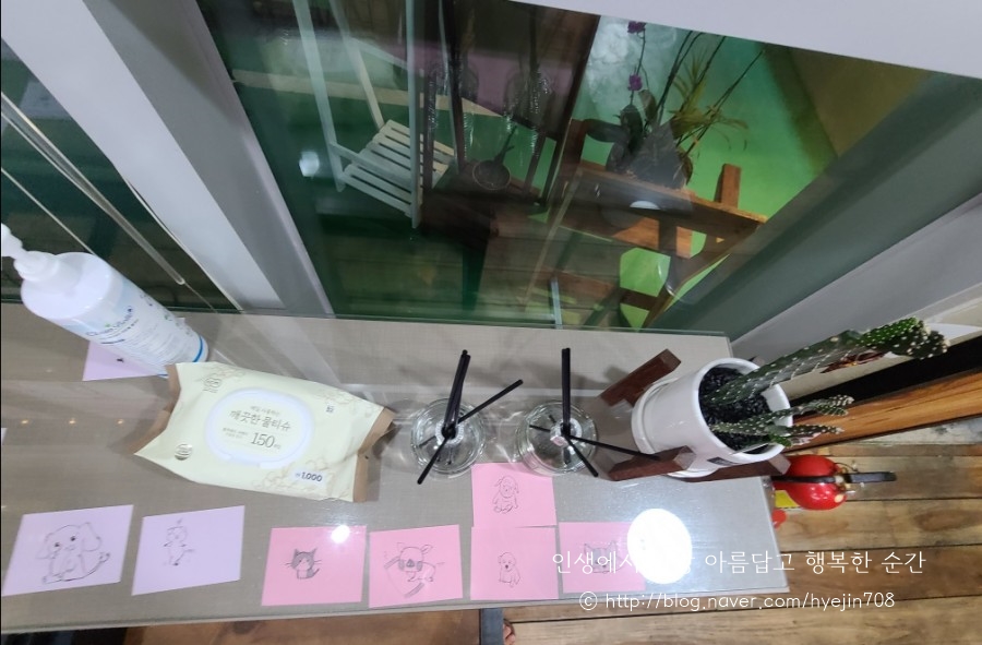 불타는여고24시제주 이미지