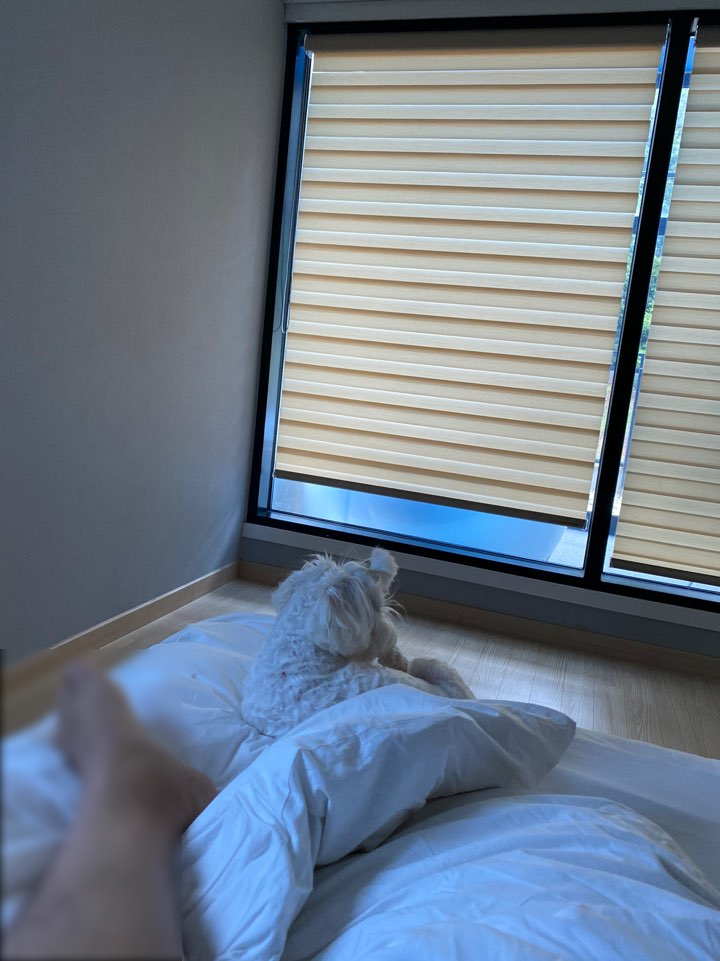 썬２４시편의점 이미지