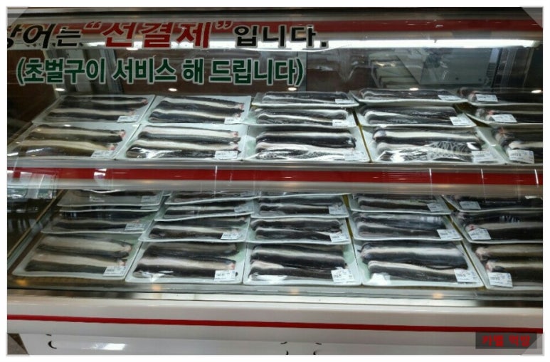 금하민물장어 이미지
