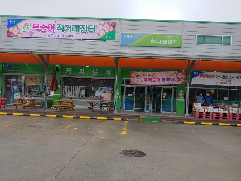 능주농협주유소 이미지
