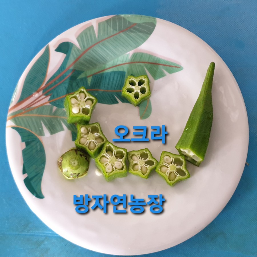 위미스테이 이미지