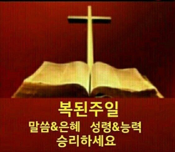 부모사랑주 이미지
