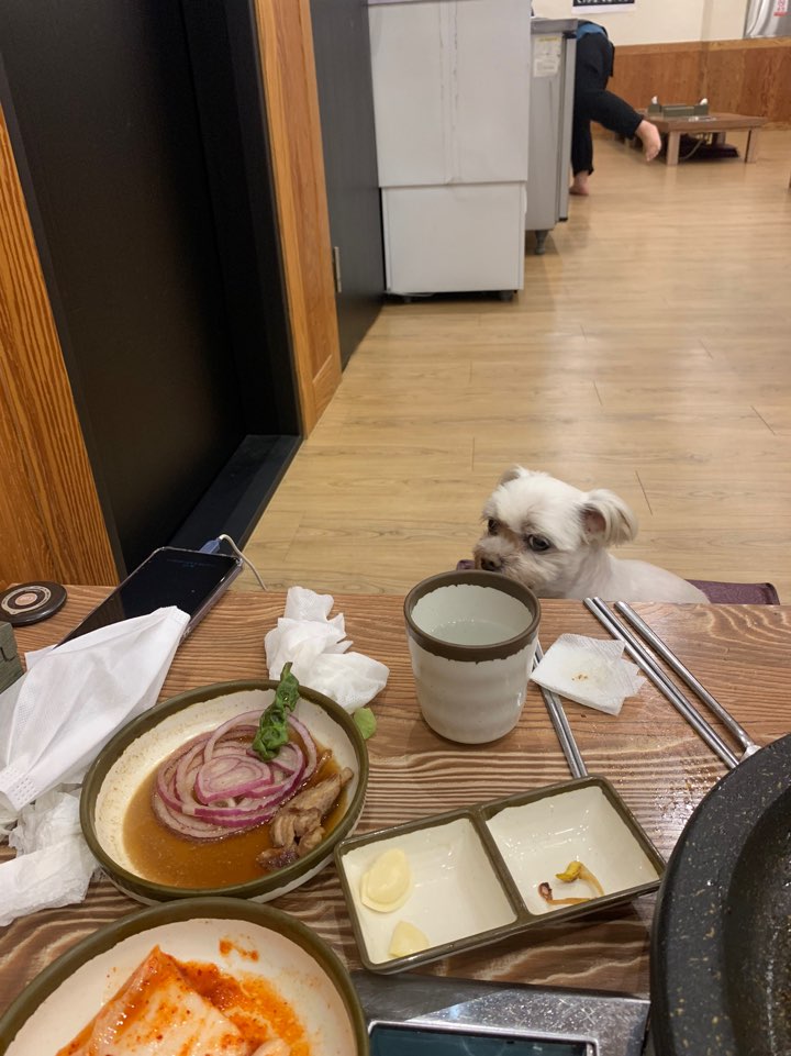 의정부부대찌개&배부른생오리 이미지
