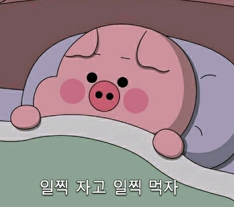 먹즈아 이미지