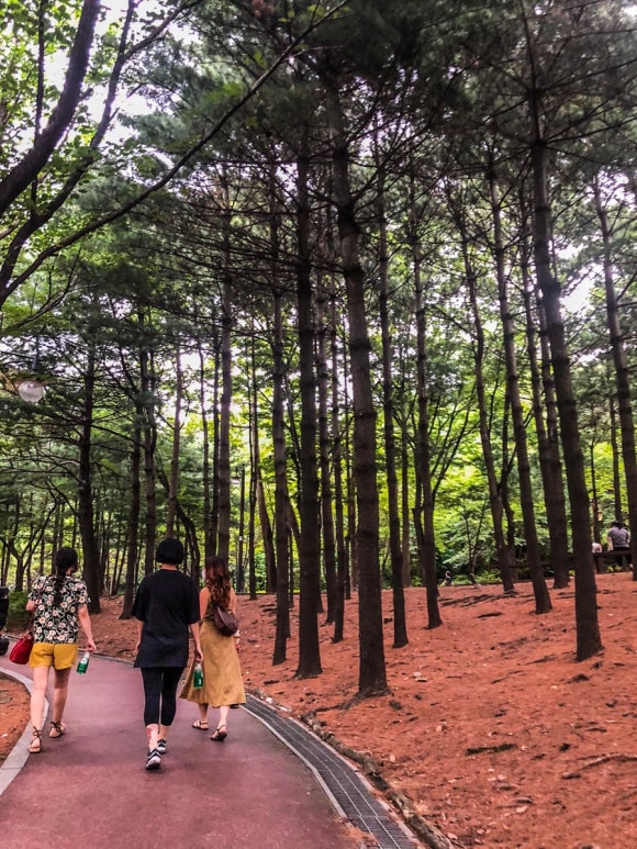 Cafe글린공원 이미지