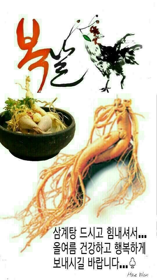 건강로또복권 이미지