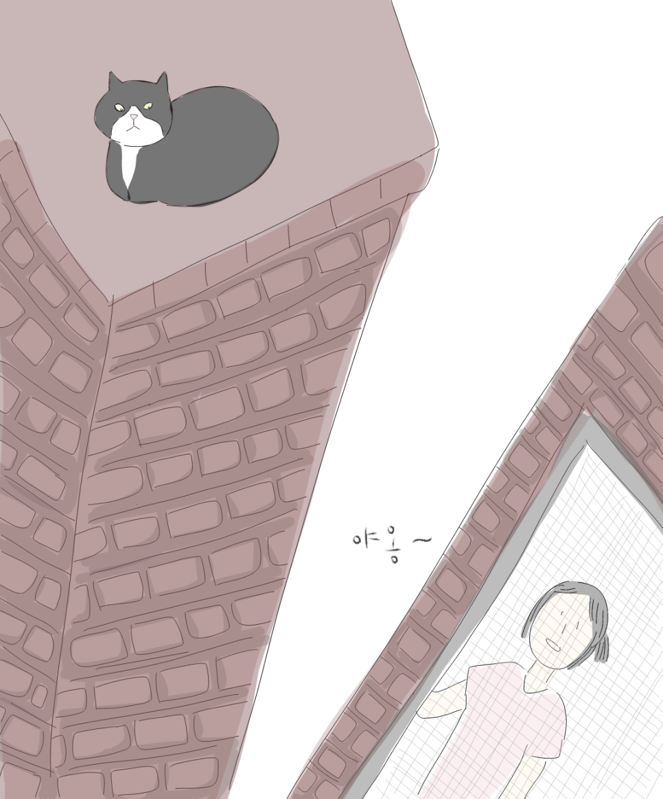 메옹이 이미지